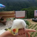 무주솔향기펜션 이미지