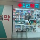 문정약국 | [서울 문정] 이화선약국 / 피로회복제 후기💪🏼💝 / 아르기닌, 비타민, 카르니틴, 마그네슘 /