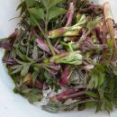 이덕주농장 이미지