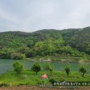 고성부동산중개사무소 이미지