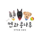 켄과콩나무 이미지
