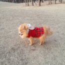 개인화물1948