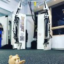 베어리핏 이미지