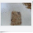 홀리병원 이미지