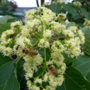 민제한의원 이미지