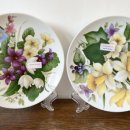 로코코블랑 이미지