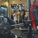 팀엑슬 | 💪 수원대 헬스장 로얄바디피트니스 방문 후기