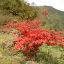 수암농장 이미지