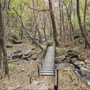 제눈에 안경 이미지