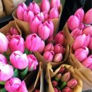 플라워 테라피 이미지