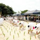 안동농협 농산물유통센터 이미지