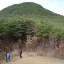 김극뉴 묘역 Daum카페