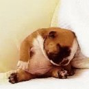 마포래미안푸르지오 상가 이미지