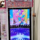 파라파라마트