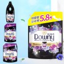 미스티크 이미지