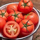 토마토 이미지