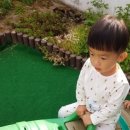 동화나라숲 어린이집 이미지