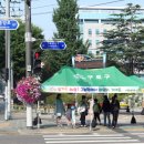 그늘막35 이미지