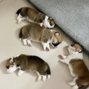 민국농장 이미지