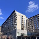 옥돌포레스트 이미지