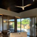 스테이 알오에이 이미지