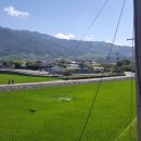 군민의 집 이미지