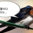 언덕위의 작은집 이미지