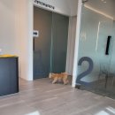 이산동물의료센터 이미지