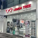 레몬트리 안경콘택트 이미지