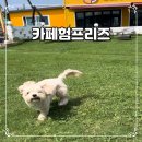 팽성남로 이미지