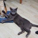 까치산로4길 이미지