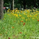 벌막공원 이미지