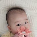 리안이네농장 | 육아 4개월차 구매한 육아용품 및 후기 2탄