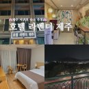 모텔라벤더 | 제주도 혼자여행 숙소 서귀포 모텔 올레시장 호텔 라벤더 제주