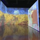 형제목장 | 충북증평아이랑벨포레목장 벨포레미디어아트센터 내돈내산 후기