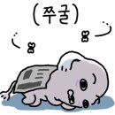 멜론약국 이미지