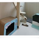 아이조아 캣파크 서울점 이미지