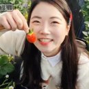 예진농장 이미지