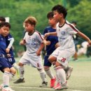 백마강생활체육공원 축구장 이미지