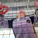 효도하는태권도장 이미지