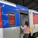 아리랑열차 연계형 시티투어2 | 강원도 여행 2026 정선메밀전병축제 정선아리랑시장