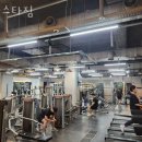 헬스 스타짐 이미지