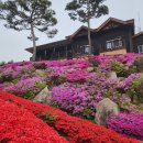 용봉산자연휴양림 이미지