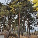 (주)반석에너지 이미지