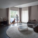 도그-in 하우스 이미지