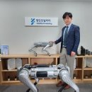 영인 아시아경제