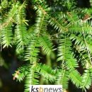 ㈜성원소재 이미지