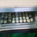 생기곤충농원 이미지