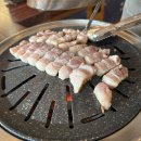 삼쿡시대 이미지