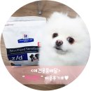 21세기애견용품 | <애견용품배송>당일배송!!"펫프렌즈"어플이용후기#